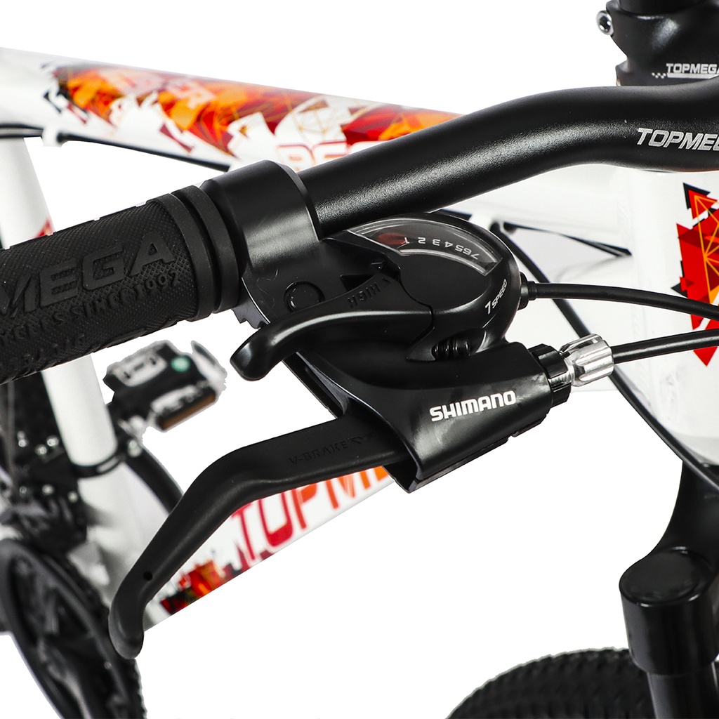 BICICLETA MTB REGAL ALUMINIO R29 21V GRIS ROJO/NARA M