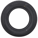 1012515 (1).png