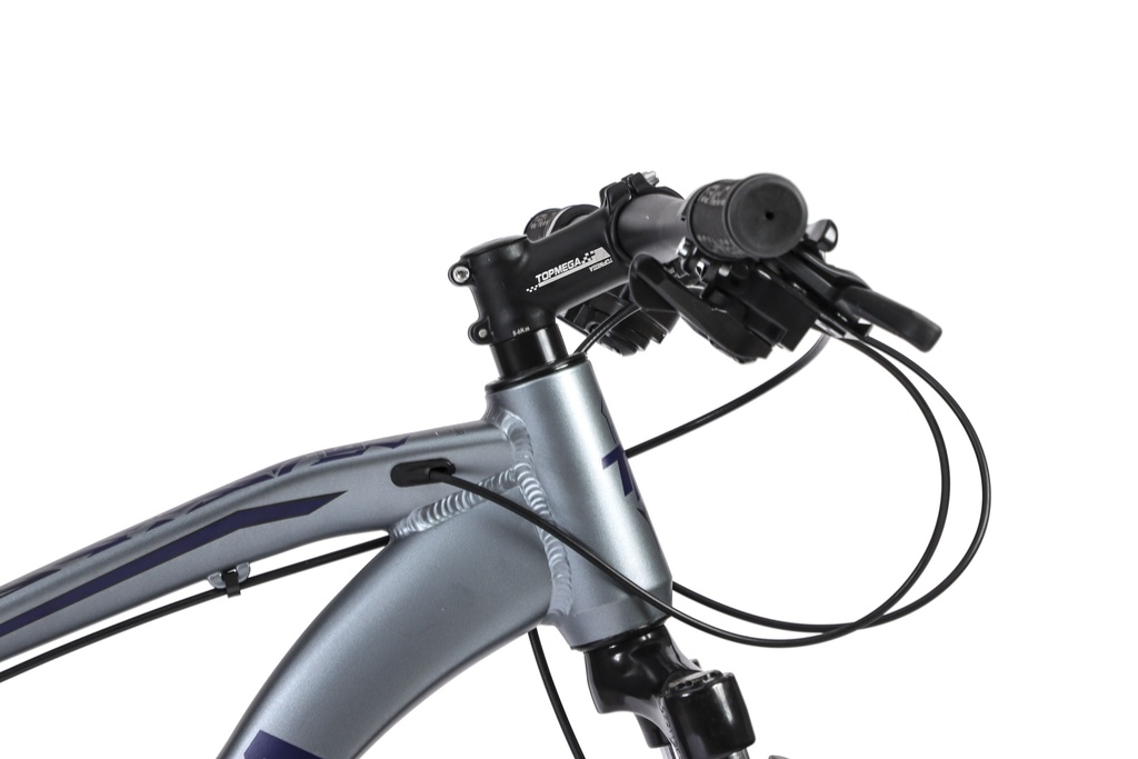 BICICLETA MTB THOR R29 24V ALUMINIO GRIS/VIOLETA/NEGRO TALLE S