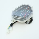 TABLERO COMPLETO HONDA WAVE GUERRERO G100
