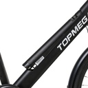 BIC ELECTRICA TOPMEGA PASEO ALUM R700 250W 36V 6VEL NEGRO