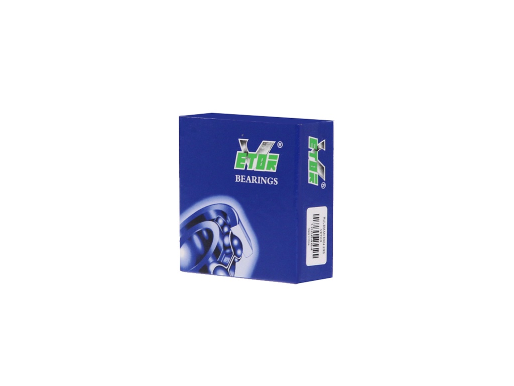 RULEMAN 6300 2RS VETOR
