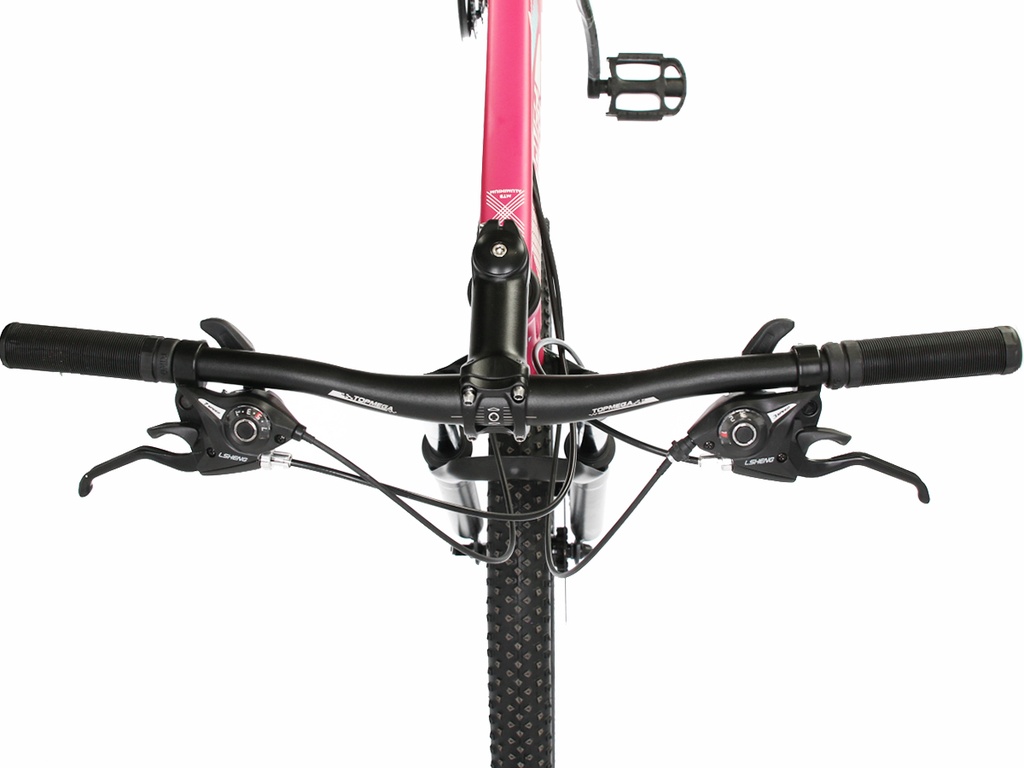 BICICLETA MTB FLAMINGO R29 21VEL FUXIA/BLANCO TALLE M