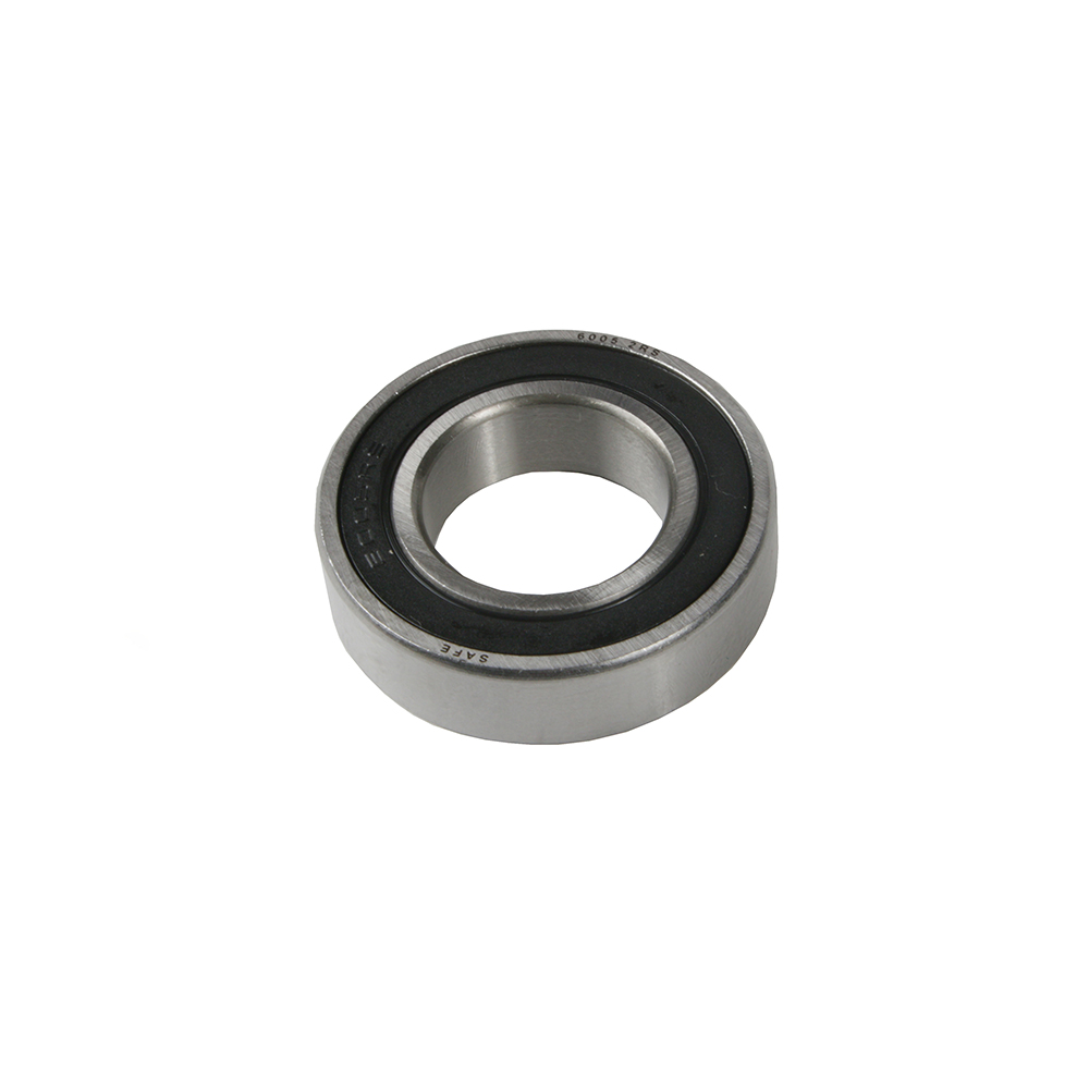 RULEMAN 6300 2RS SAFE