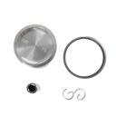 PISTON KIT BAJAJ ROUSER 220 PERNO 17 DIAM. 67 -075