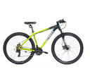 BIC MTB TOPMEGA SUNSHINE R29 21VEL ALUM VERDE LIMA T. M