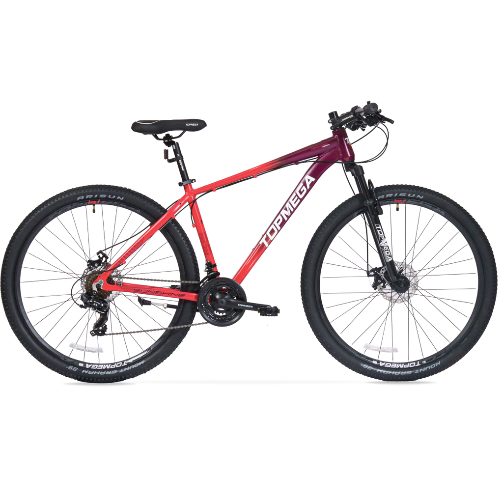 BIC MTB TOPMEGA SUNSHINE R29 21VEL ALUM CORAL/VIOLETA T. XS